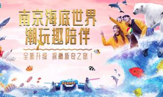 上海海洋水族馆的门票可以当场买吗排队买票的人多吗